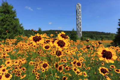 Image of Flight 93 National Memorial